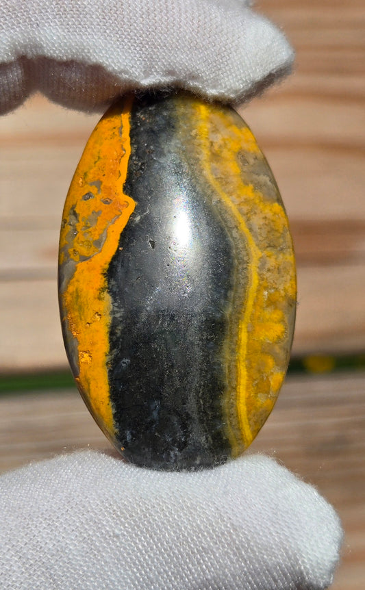 Hand Cut Bumble Bee Jasper Cabochon