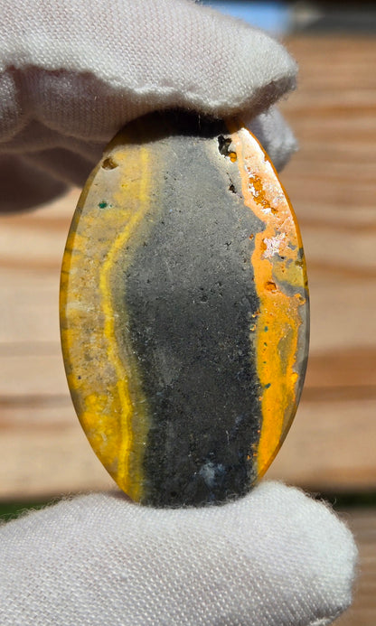 Hand Cut Bumble Bee Jasper Cabochon