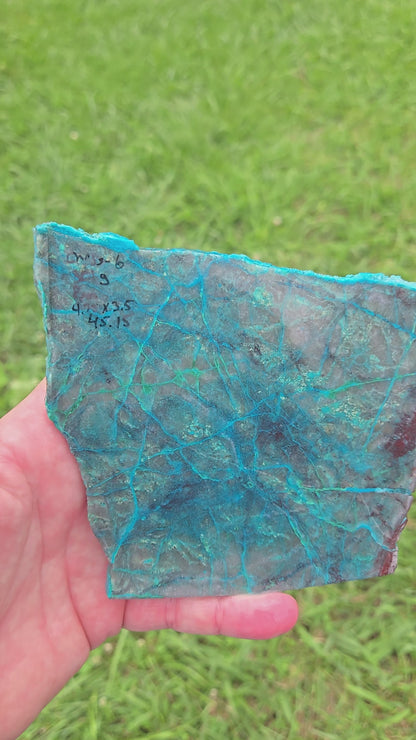 Chrysocolla Lapidary Slab