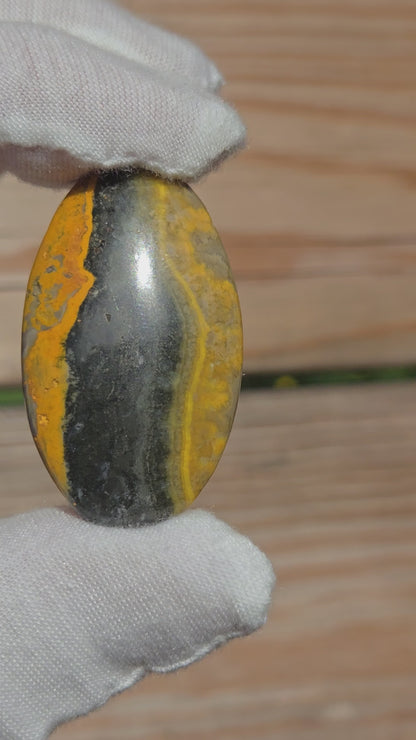 Hand Cut Bumble Bee Jasper Cabochon
