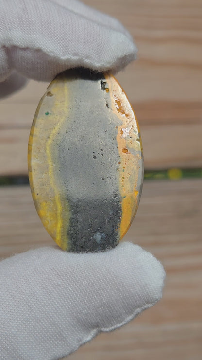 Hand Cut Bumble Bee Jasper Cabochon